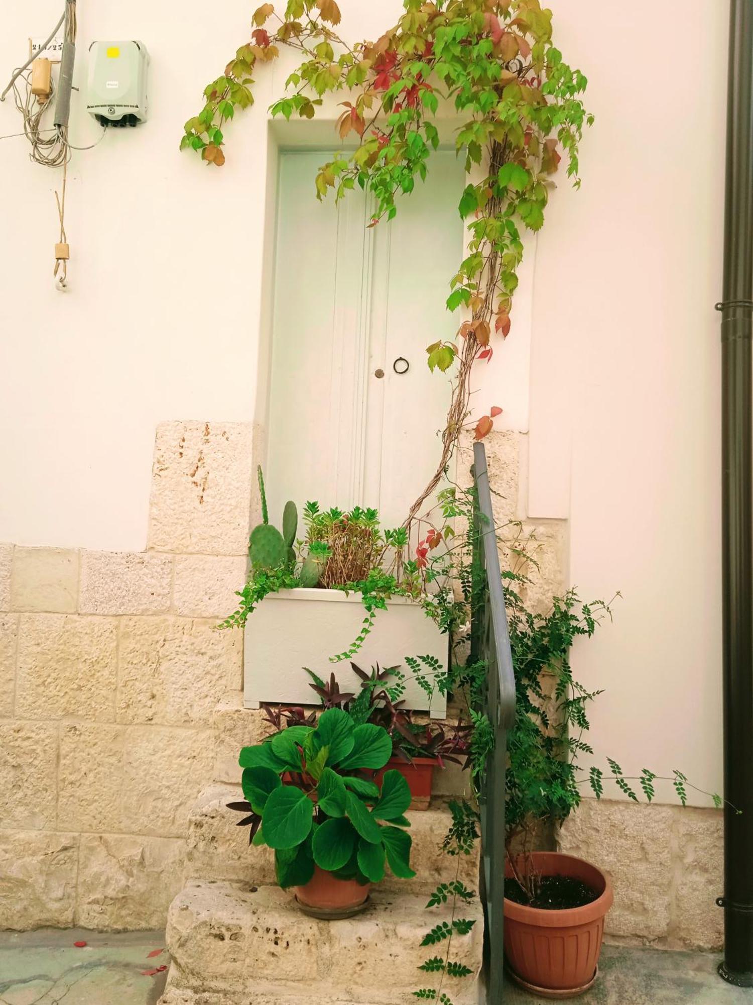Il Borgo Antico B&B 알타무라 외부 사진